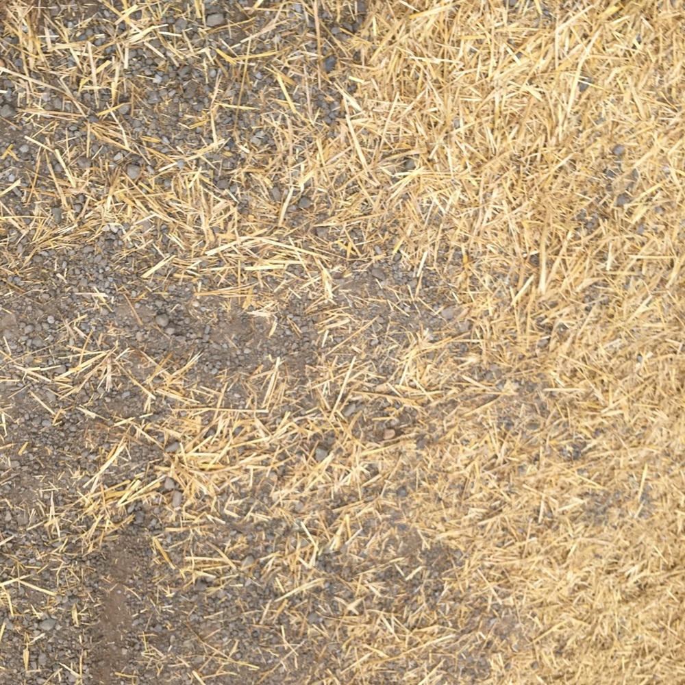 Meet your Posher, Rasha